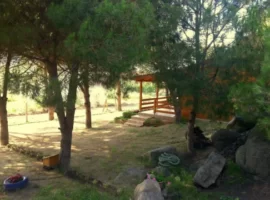 Erdek Turanköy Çam Sakızı Ağaç Evler